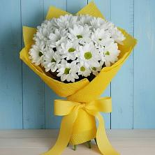 Букет цветов из:  Хризантемы в Волоколамске