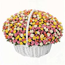 Премиум букет из: Розы в Волоколамске