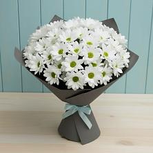 Букет цветов из:  Хризантемы в Волоколамске