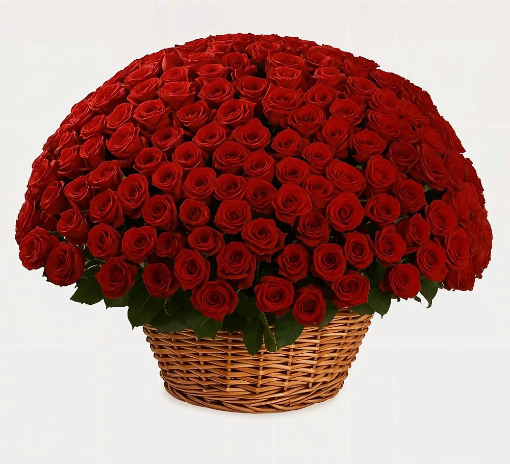 Премиум букет из: Розы в Волоколамске