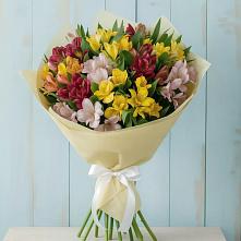 Букет цветов из:  Альстромерии в Волоколамске