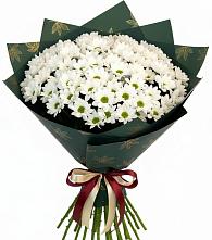 Букет цветов из:  Хризантемы в Волоколамске