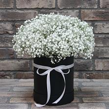 Цветочная композиция из Гипсофила в шляпной коробке в Волоколамске