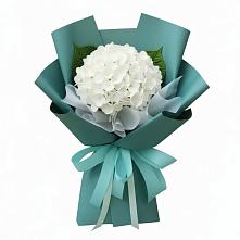 Букет цветов из:  Гортензия в Волоколамске